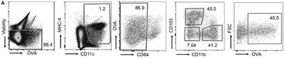 Corrigendum: Site-Specific DC Surface Signatures Influence CD4+ T Cell Co-stimulation and Lung-Homing